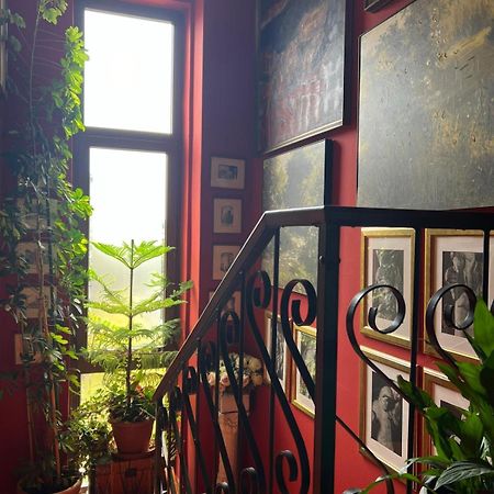 Casa Serenella B&B - Casa Vacanze Piazzola sul Brenta Zewnętrze zdjęcie