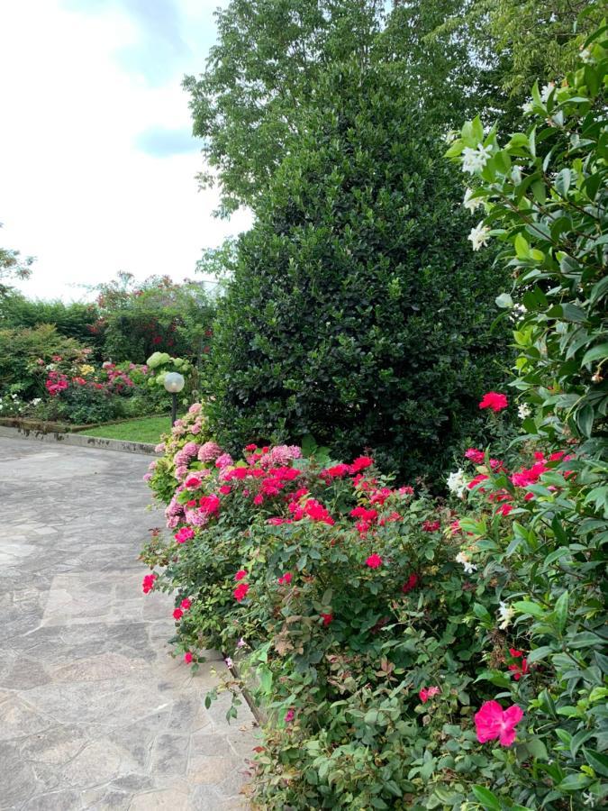 Casa Serenella B&B - Casa Vacanze Piazzola sul Brenta Zewnętrze zdjęcie
