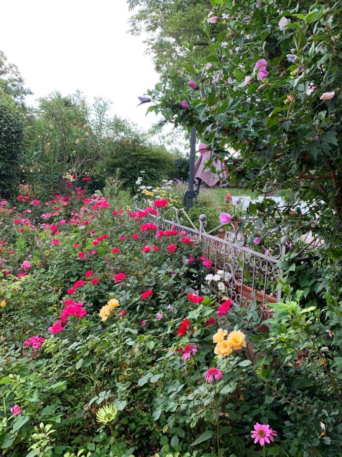 Casa Serenella B&B - Casa Vacanze Piazzola sul Brenta Zewnętrze zdjęcie