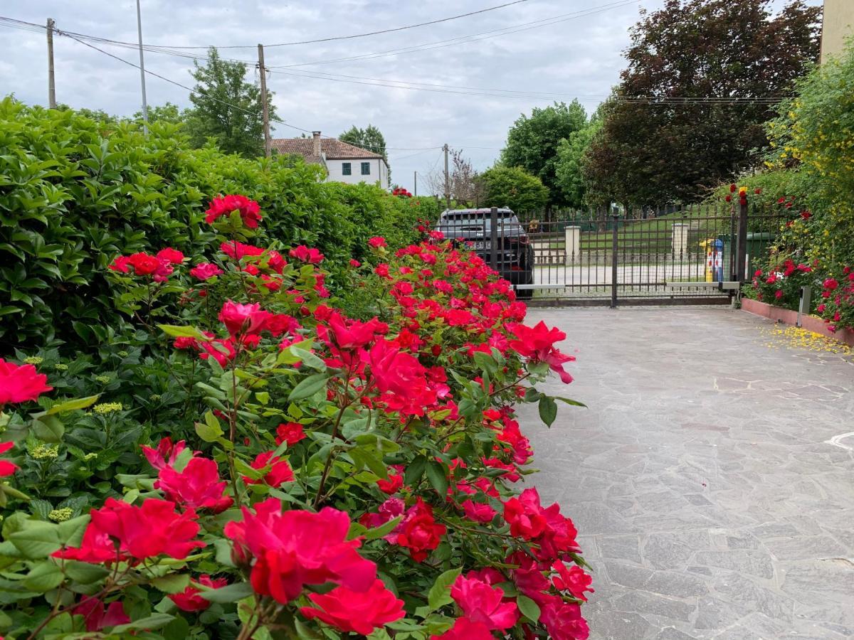 Casa Serenella B&B - Casa Vacanze Piazzola sul Brenta Zewnętrze zdjęcie