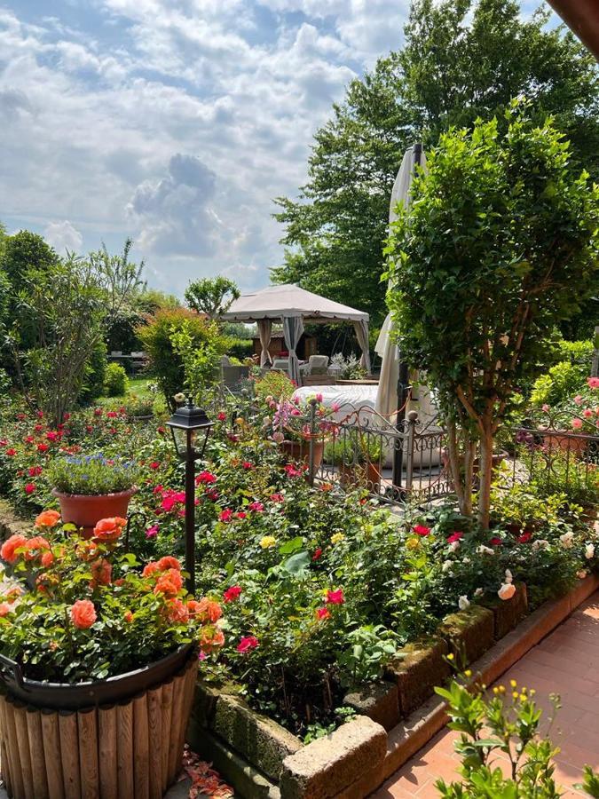 Casa Serenella B&B - Casa Vacanze Piazzola sul Brenta Zewnętrze zdjęcie