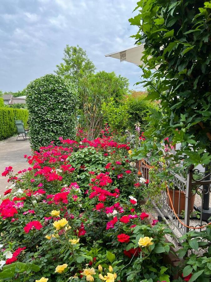 Casa Serenella B&B - Casa Vacanze Piazzola sul Brenta Zewnętrze zdjęcie