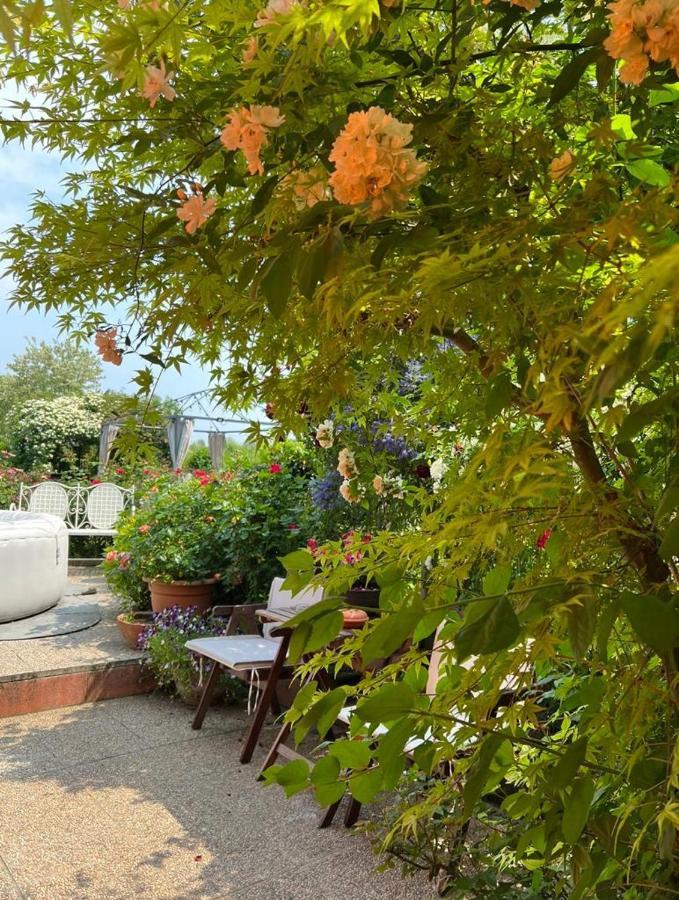 Casa Serenella B&B - Casa Vacanze Piazzola sul Brenta Zewnętrze zdjęcie