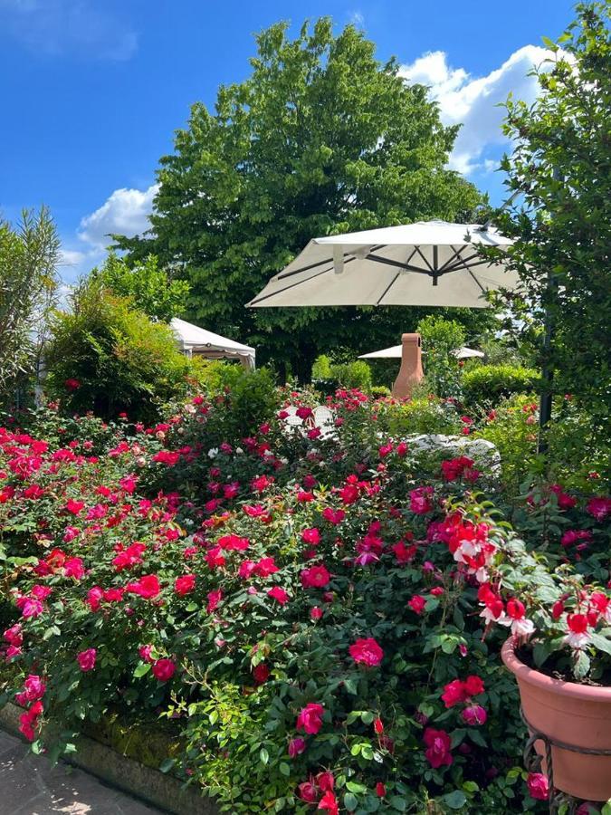 Casa Serenella B&B - Casa Vacanze Piazzola sul Brenta Zewnętrze zdjęcie